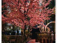 -金轩中餐厅 Jin Xuan(浦东丽思卡尔顿酒店)