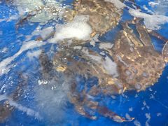 -七鲜超市(万向城店)