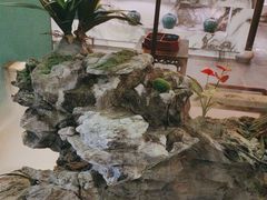 -佬麻雀·新湘菜(珠海金发购物中心店)