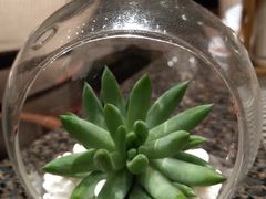 -上海齐鲁万怡大酒店·辣椒屋咖啡厅