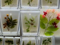 -广东中医药博物馆