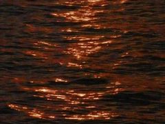 -滆湖低碳生态公园