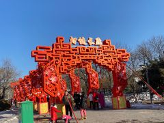 -北京石景山游乐园