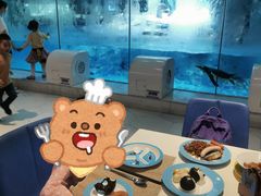 -帝企鹅自助餐厅•儿童岛•真企鹅(长隆企鹅酒店)