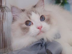 -四里沙茶面(湖滨四里店)