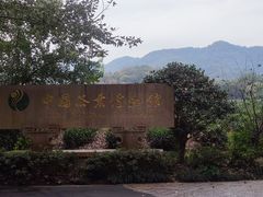 -中国茶叶博物馆(双峰馆区)