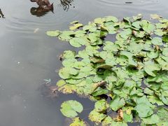 -中国湿地博物馆