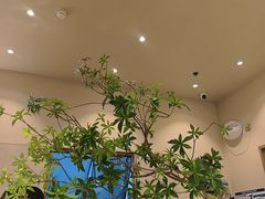 -火婆子·川小馆(扬韬科技广场店)
