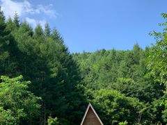 -天女山森林公园