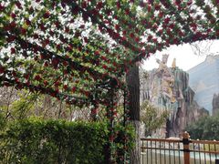 -郑州方特梦幻王国