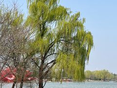-洛阳市隋唐城遗址植物园