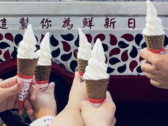 -富豪雪糕车流动点(尖沙咀店)