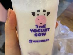 -一只酸奶牛(摩根吾悦广场店)