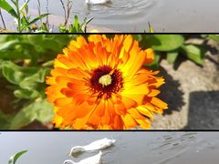 -神光山国家森林公园