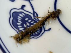 -笨罗卜浏阳菜馆(高桥永祥店)