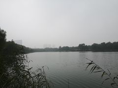 -大兴滨河森林公园