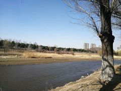 -蒲河岛湿地公园
