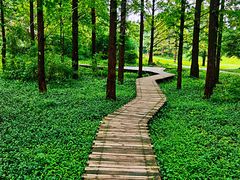 -国家植物园南园