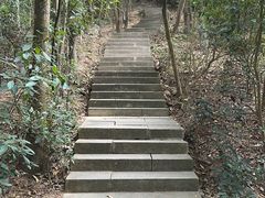 -梧桐山风景名胜区