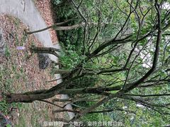 -阿哈湖国家湿地公园