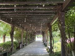 -白马涧龙池景区