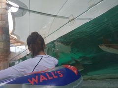 -新加坡水上探险乐园