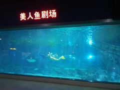 -福州罗源湾海洋世界旅游区
