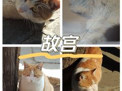 -北海公园