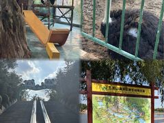 -五龙山野生动物王国