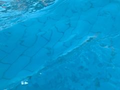 -重庆海昌加勒比海水世界