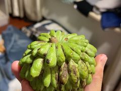 -新鸿港水果市场