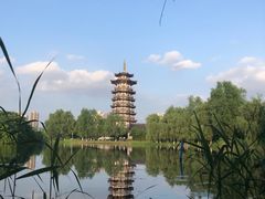 -洋湖国家湿地公园