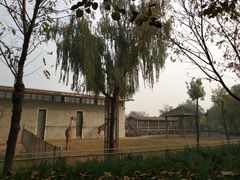 -石家庄市动物园