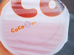 -CoCo都可(江宁托乐嘉店)