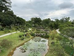 -东莞植物园