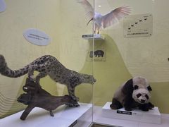 -国家自然博物馆