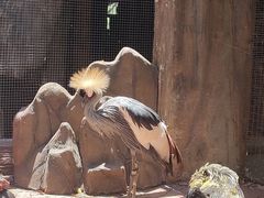 -长鹿旅游休博园