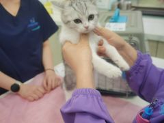 -北京观赏动物医院·24小时大型综合·猫专科·异宠专科