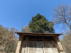 -秦岭风景区