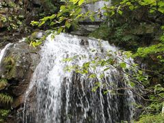 -藏龙百瀑风景区