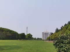 -艾溪湖湿地公园