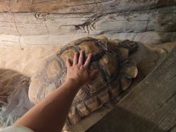 -Zoolung Zoolung动物主题公园(海信广场店)