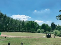 -林栖谷森林康养度假区