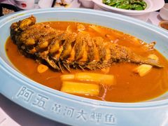 -阿五黄河大鲤鱼(英协路店)