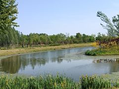 -东郊湿地公园