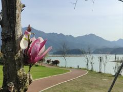-杭州桐庐康莱德酒店中餐厅·乐