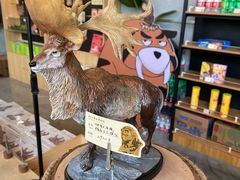 -北京周口店北京人遗址博物馆