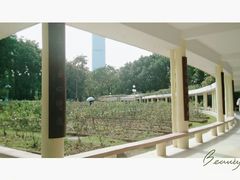 -人民公园(罗湖区)