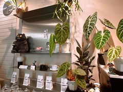 -Dogi&kiki Coffee(中心商务大厦店)