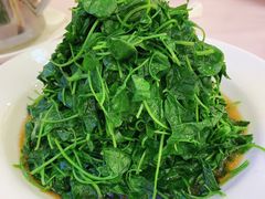 酒香草头-金时代顺风大酒店(静安大融城店)
